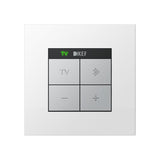 BTS30 Bluetooth Keypad and Compact Amplifier System